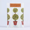 Fresh Scents Sachet | English Ivy Round Topiary